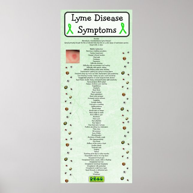 Lyme-Erkrankung Symptome Diagramm Poster-Aufklärun Poster (Vorne)