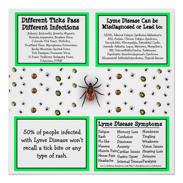 Lyme-Krankheit Informationsposter Poster (Vorderseite)