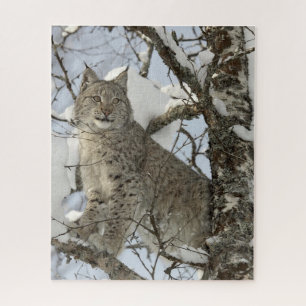 Lynx dans le Puzzle photo en hiver