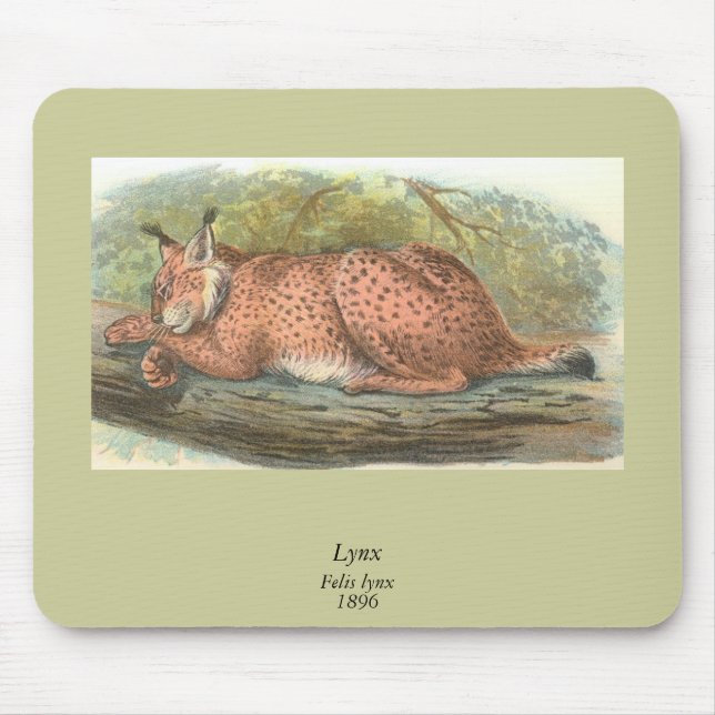 Lynx, Felis lynx Mousepad (Vorne)