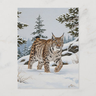Lynx in Fulufjället Nationalpark Schweden Reisen Postkarte