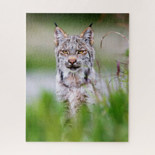 Lynx Jigsaw Puzzle