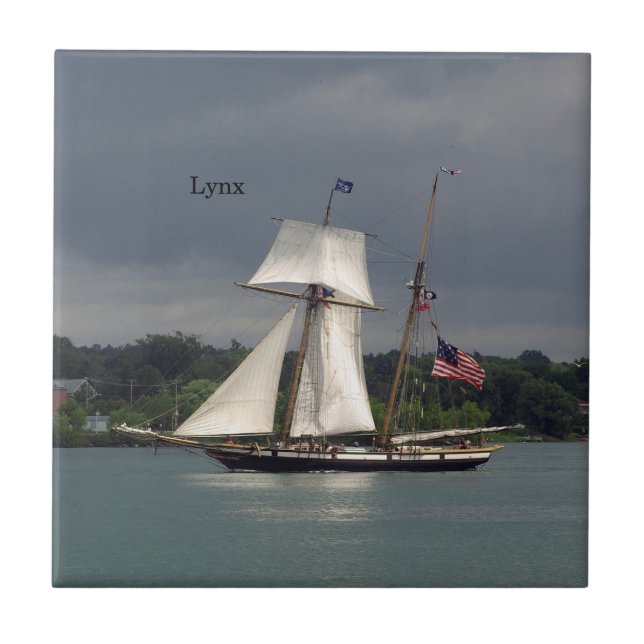 Lynx-Kachel Fliese (Vorderseite)