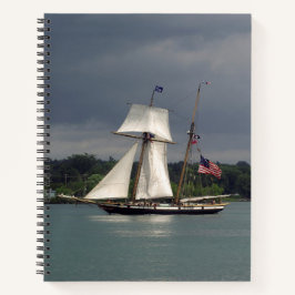 Lynx-Notebook Notizbuch