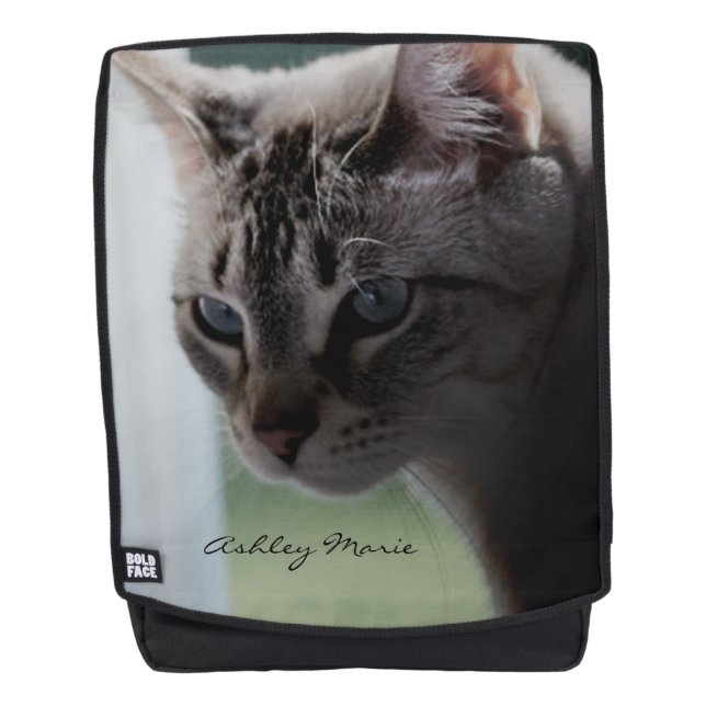 Lynx Point Siamese Cat Rucksack (Vorderseite)