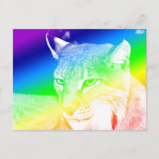 Lynx Rainbow Highlights Postkarte