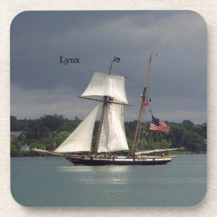 Lynx Set von 6 harten Untersetzer aus Kunststoff