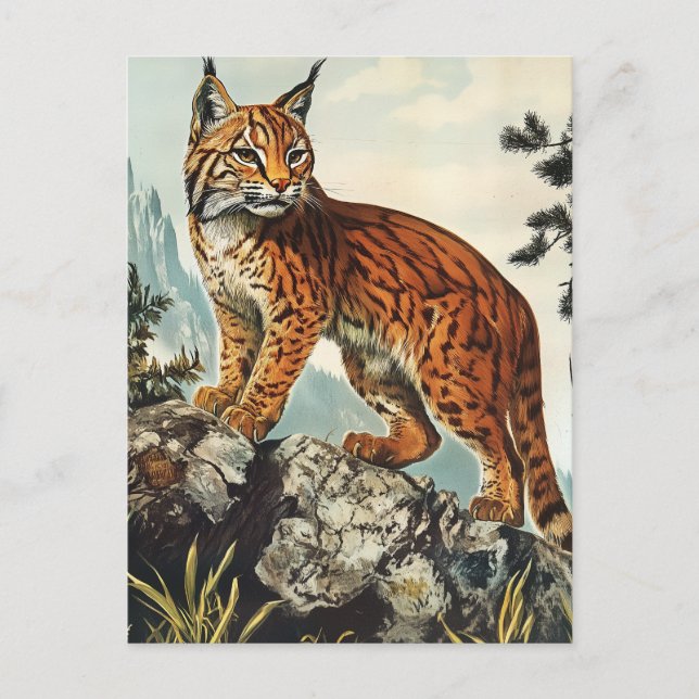 Lynx Vintag Postkarte (Vorderseite)