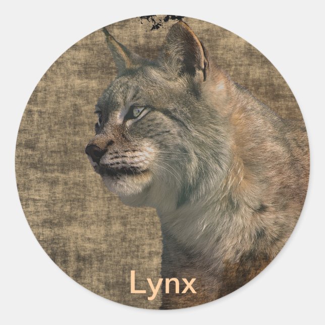 Lynx Wild Cat Wild Animal Stickers (Vorderseite)