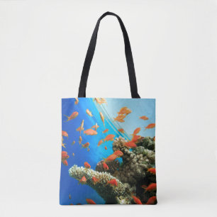 Lyretail anthias auf Korallenriff Tasche