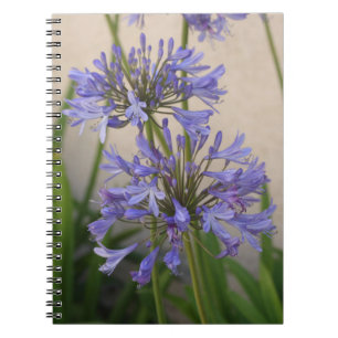 Lys Du Carnet Des Fleurs Du Nil