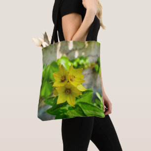 Lysimachia punctata Tout sur le sac d'impression