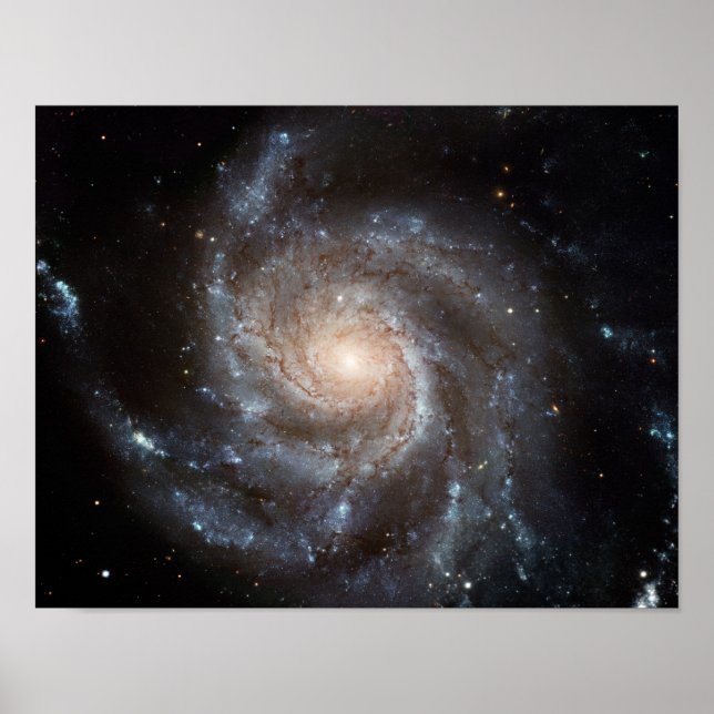 M101 Pinwheel Spiralgalaxie NASA Poster (Vorne)