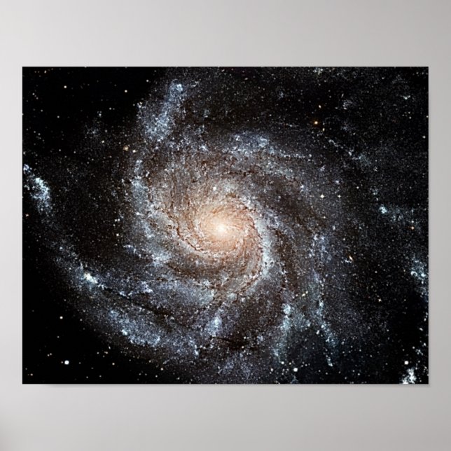 M101 Pinwheel Spiralgalaxie NASA Poster (Vorne)