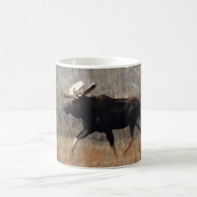 M10 Bull Moose Kaffeetasse (Mittel)