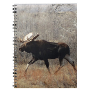M10 Bull Moose Notizblock