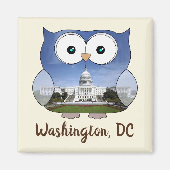 M190132 Chubby Owl | Washington DC i Souvenir Magnet (Vorne)