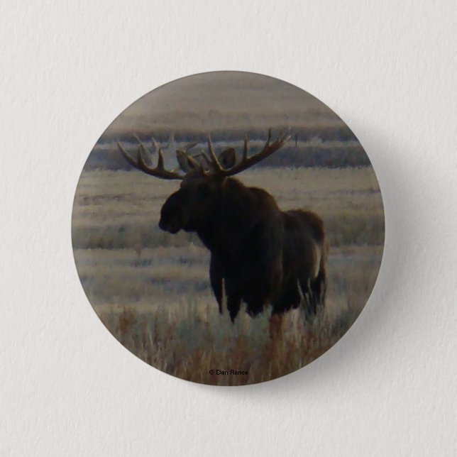 M1 Bull Moose Button (Vorderseite)