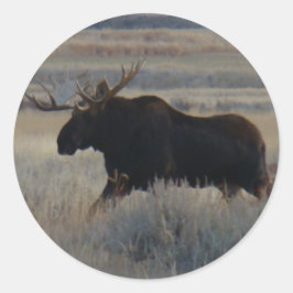M2 Bull Moose Big Bull Runder Aufkleber