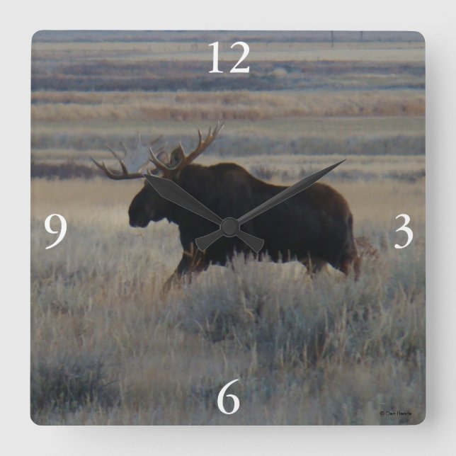 M2 Bull Moose Quadratische Wanduhr (Vorderseite)