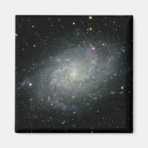 M33 Galaxy Magnet