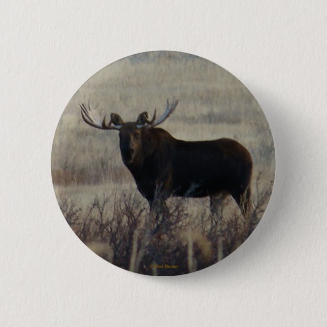 M3 Bull Moose Button (Vorderseite)