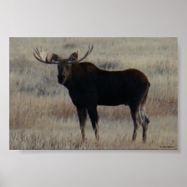M4 Bull Moose Big Bull Poster