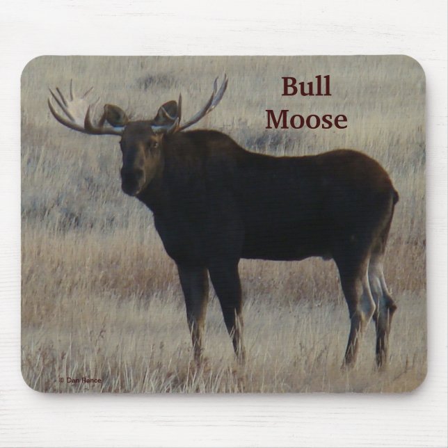 M4 Bull Moose Mousepad (Vorne)