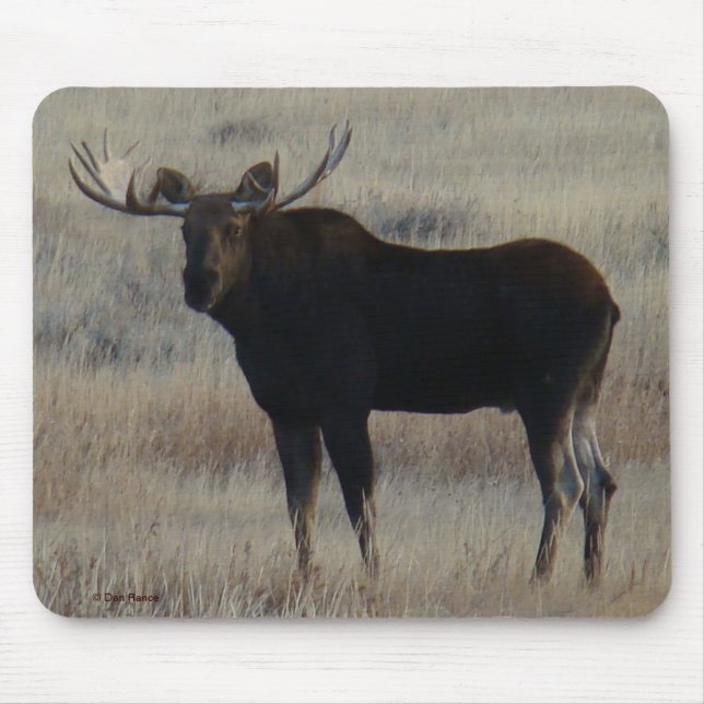 M4 Elchbulle Mousepad (Vorne)