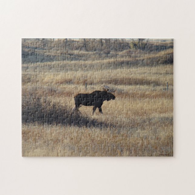 M5 Bull Elch (Horizontal)