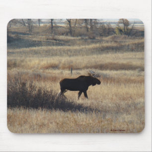 M5 Bull Elch Mousepad