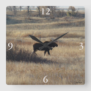 M5 Elchbulle und Sandhügel Quadratische Wanduhr
