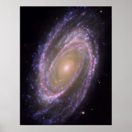 M81 Galaxy Poster
