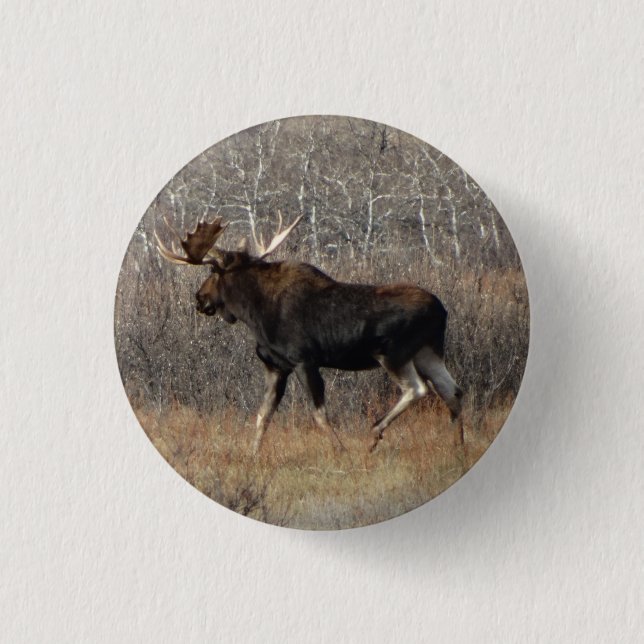 M8 Stier Elche Button (Vorderseite)