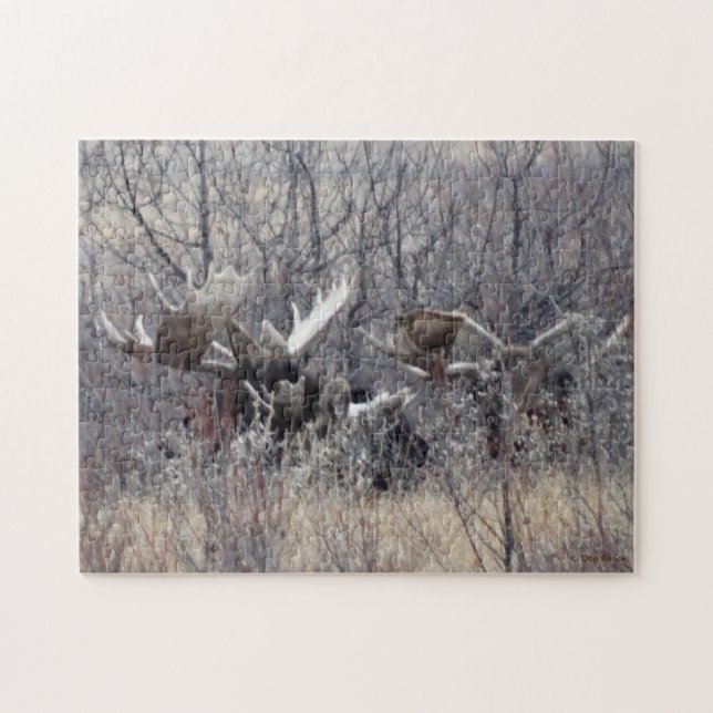 M9 Bull Moose liegt (Horizontal)