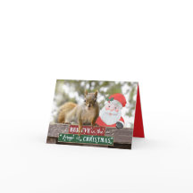 M. Bickles La carte de Noël des écureuils