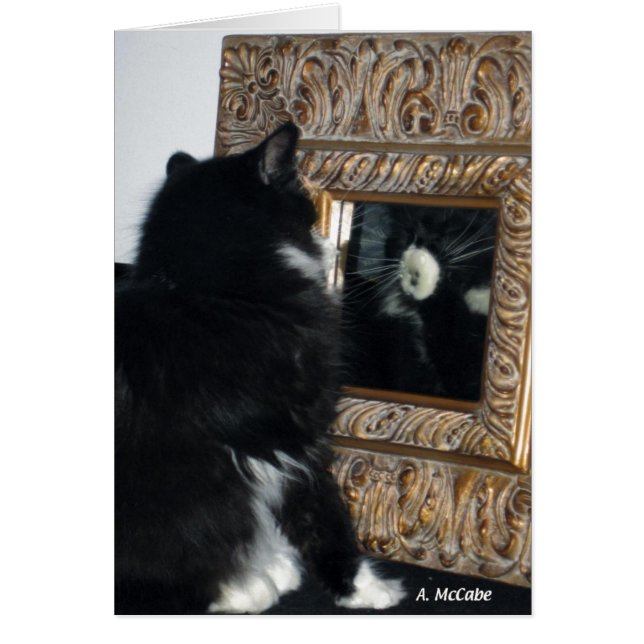 M. Bootee, par le psyché (Devant)