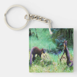 M. et Mme Martre des Pins Amoureux de la Nature Ru