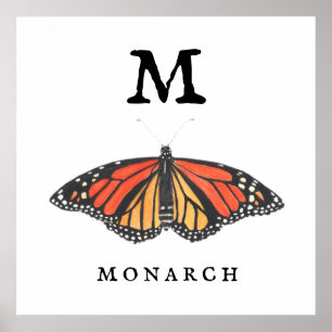 "M" für Monarch Print, Value Poster Paper (Matte)