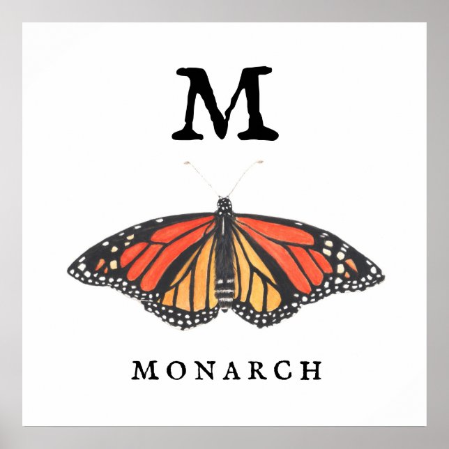 "M" für Monarch Print, Value Poster Paper (Matte) (Vorne)