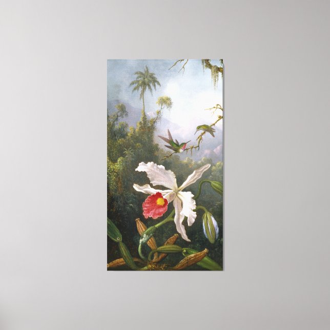 M. J. HEADE zwei Hummingvögel über einer weißen Or Leinwanddruck (Vorderseite)