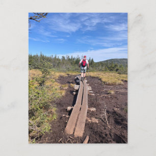 M. Jackson und M. Pierce Bog Bridge Postcard Postkarte