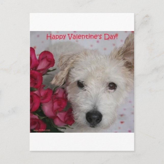 M. Pish et de carte de Saint-Valentin douzaine (Devant)