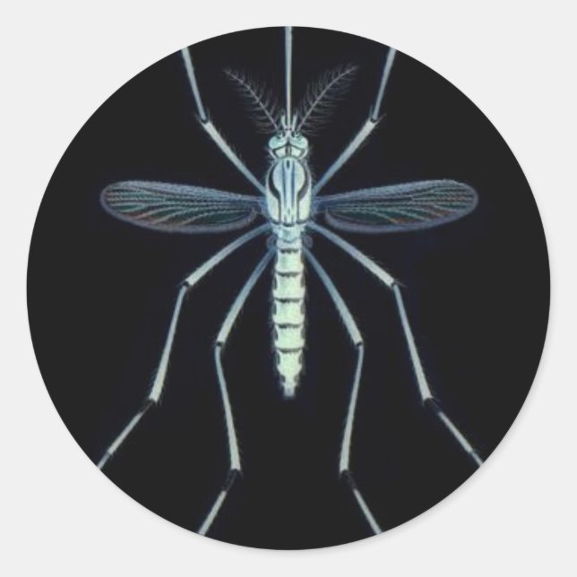 M POWER, RUNDER AUFKLEBER (Vorderseite)