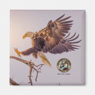 M SWFL Eagle Cam Magnets 2021 Magnet