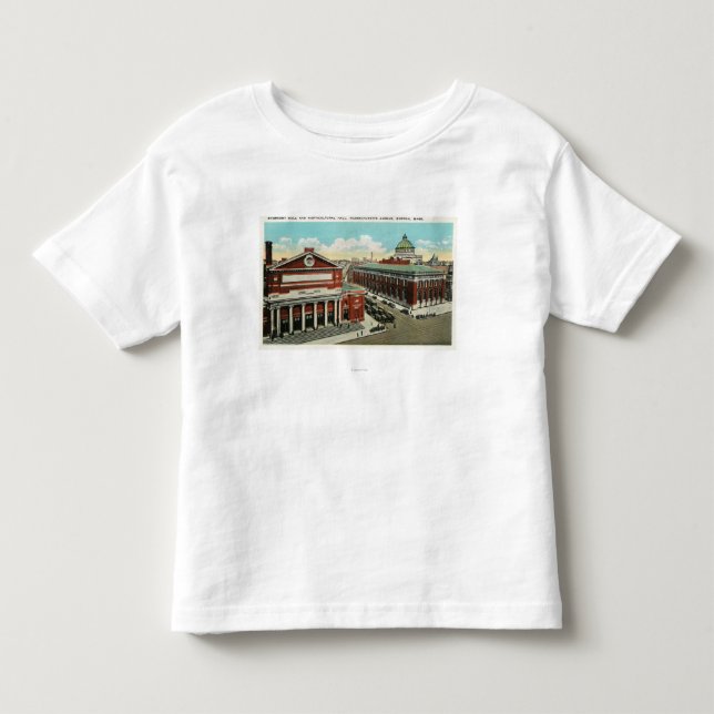 MA-Alleen-Ansicht der Symphonie, gartenbaulich Kleinkind T-shirt (Vorderseite)