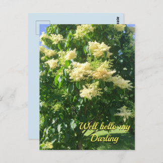 Ma carte postale chérie