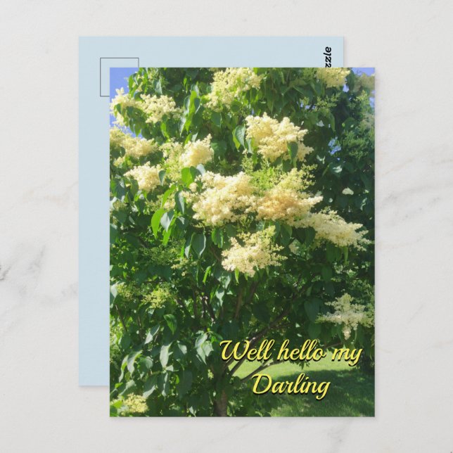 Ma carte postale chérie (Devant / Derrière)