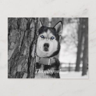 Ma carte postale de remerciement Baby Blue Eyes