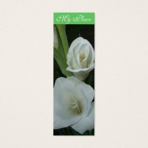 Ma marque-page de Gladiola d'endroit